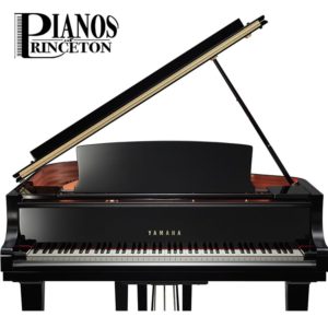 Yamaha C1X - New 5'3"