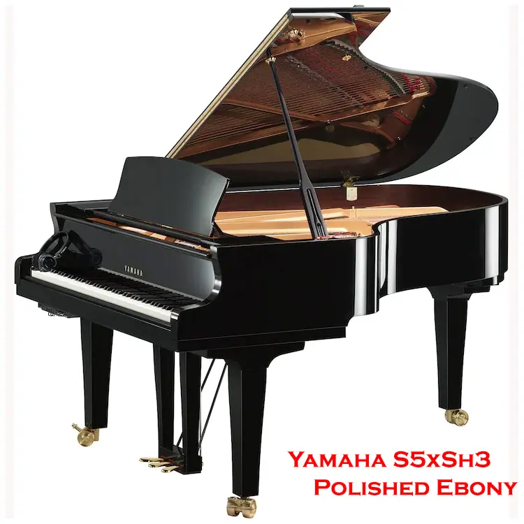 Grand Pianist Plus ピアノコンサートプレイヤー Grand Pianist ピアノコンサートプレイヤー - メルカリ