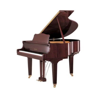 Yamaha GC1M Polished Mahogany – New