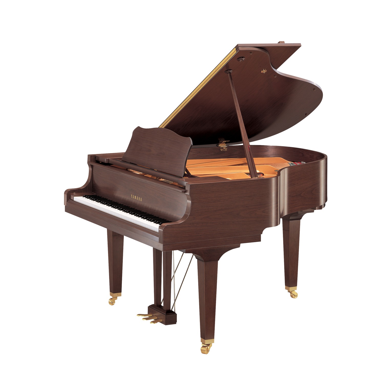 Yamaha GC1M Satin American Walnut – New